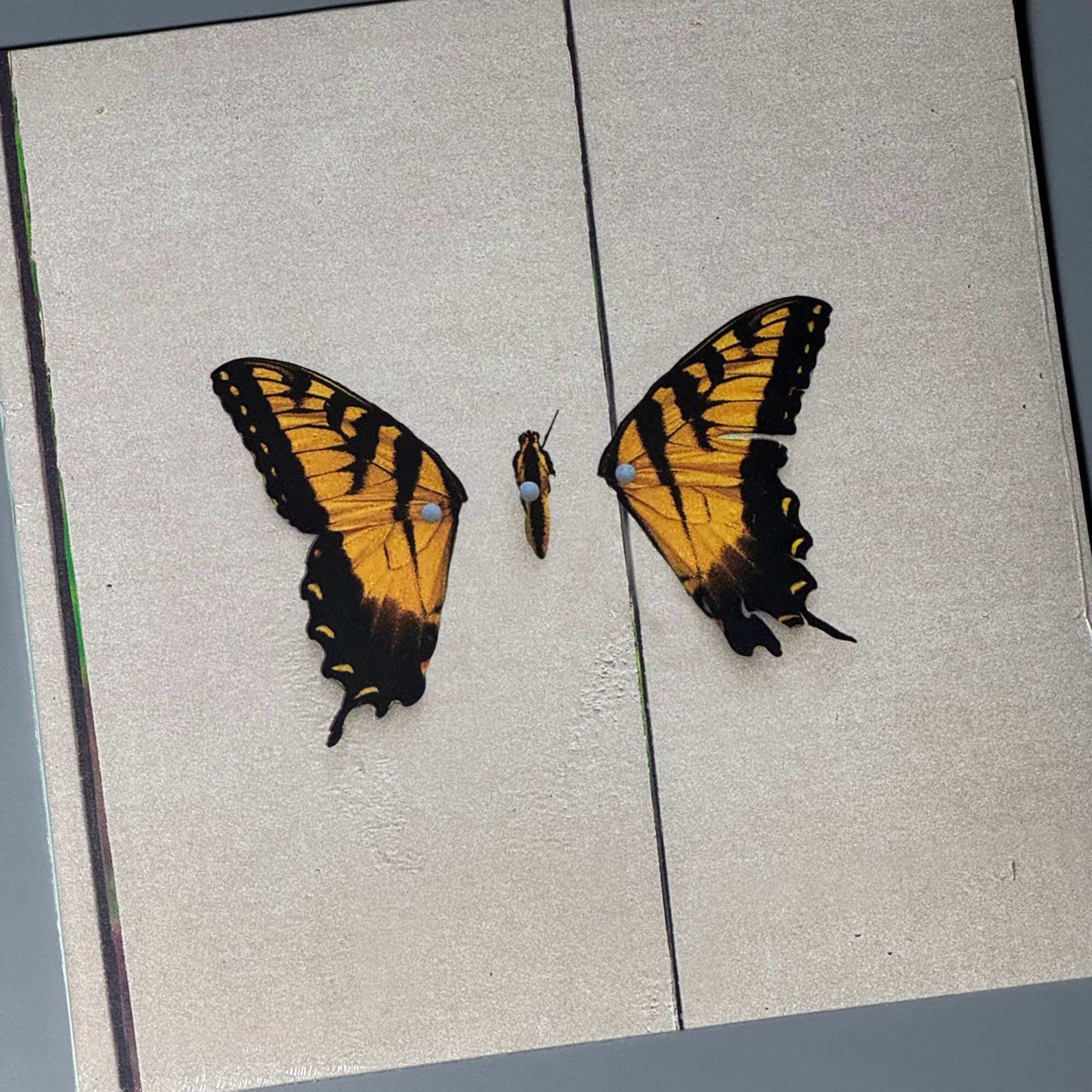 Brand New Eyes by Paramore Vinyl Record LP Album