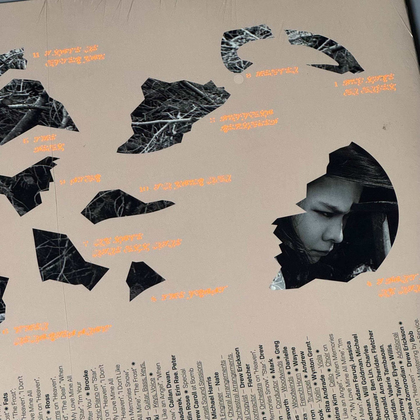 The Land Is Inhospitable And So Are We by Mitski Vinyl Record LP