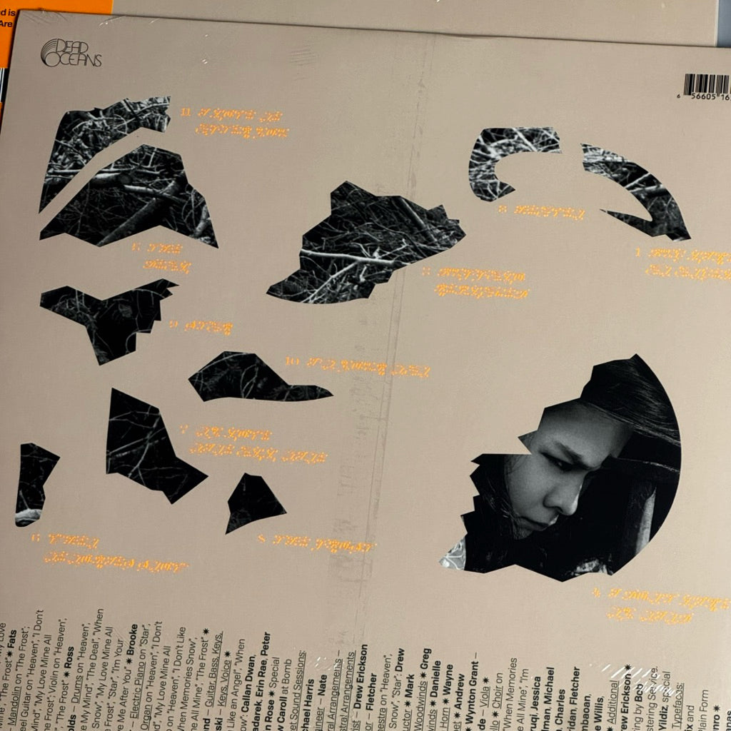 The Land is Inhospitable And So Are We by Mitski Vinyl Record LP