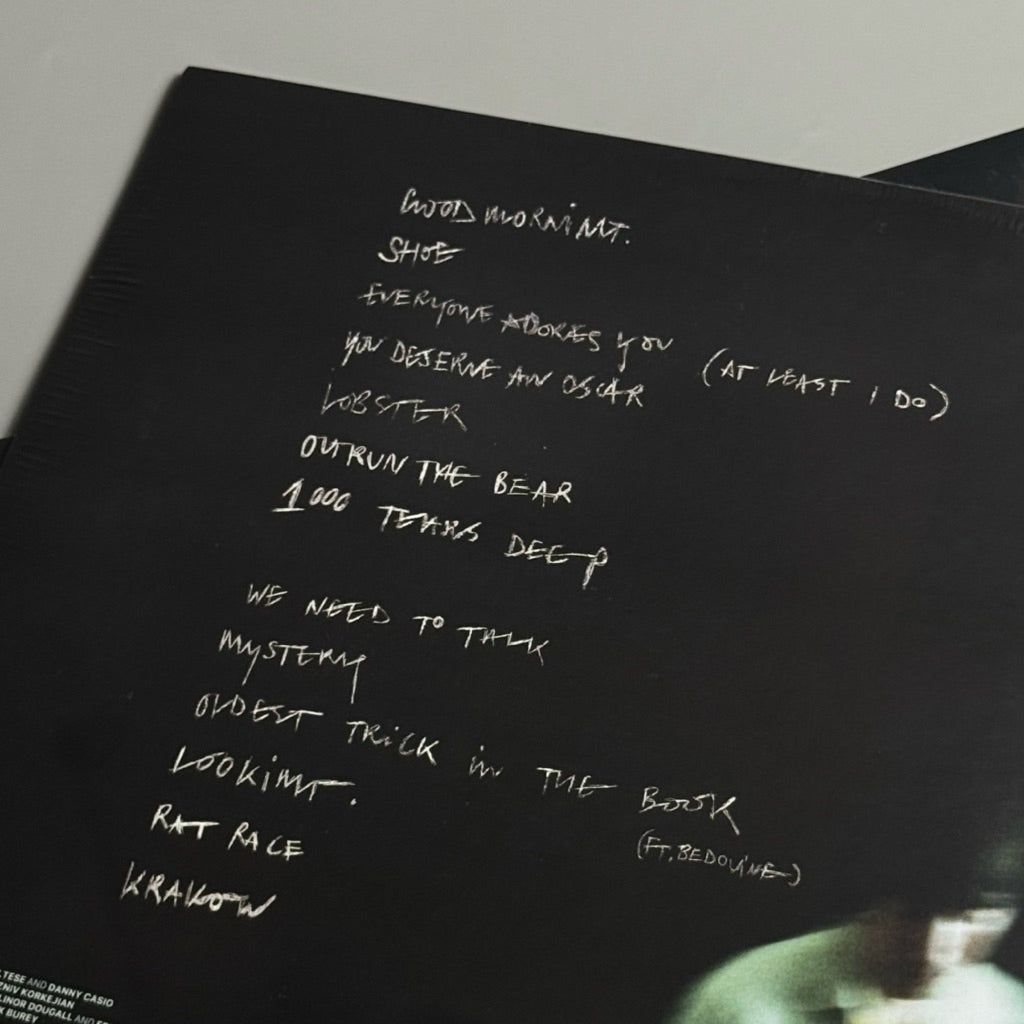 Good Morning It’s Now Tomorrow by Matt Maltese Vinyl Record LP