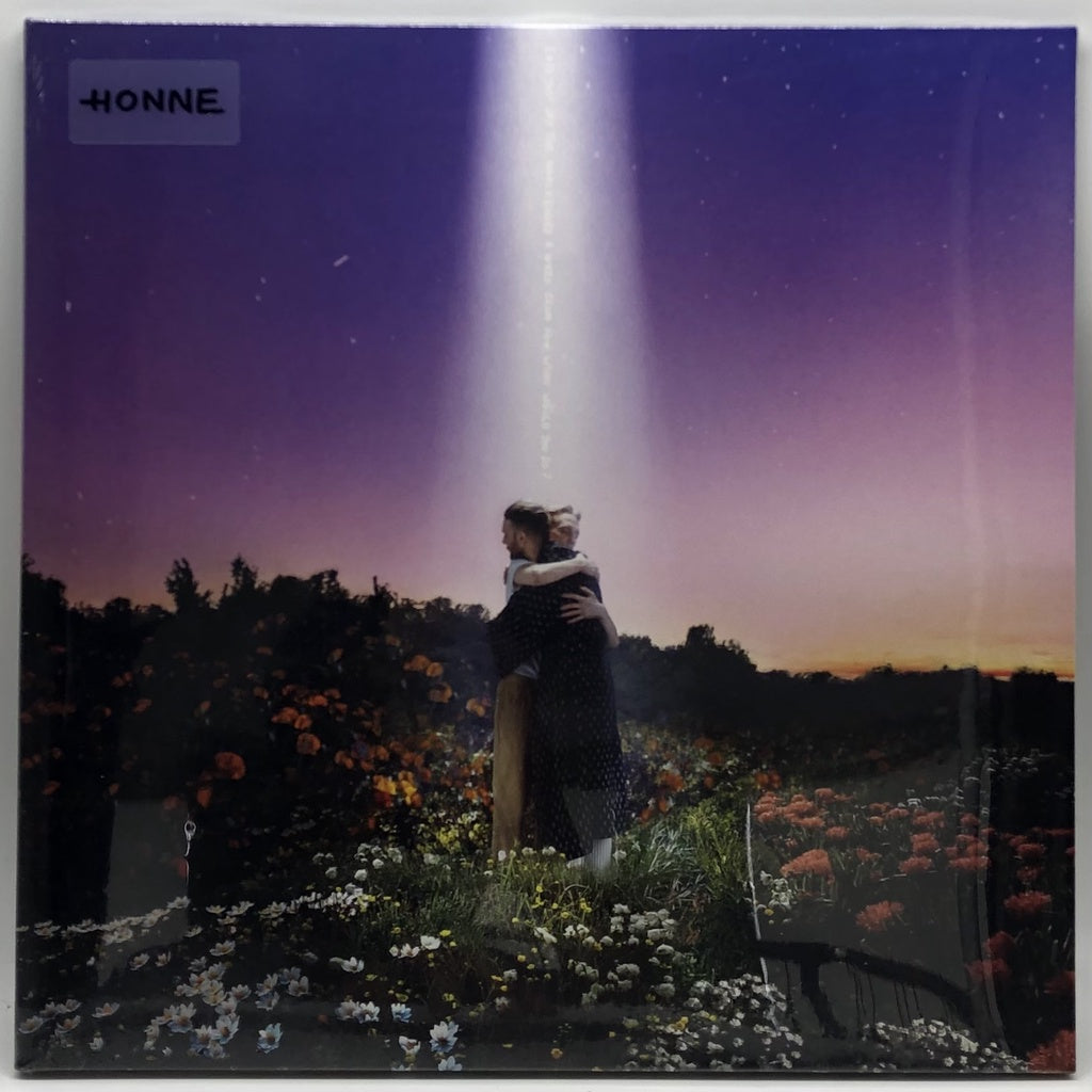 Let's Just Say The World Ended by Honne Vinyl Record LP