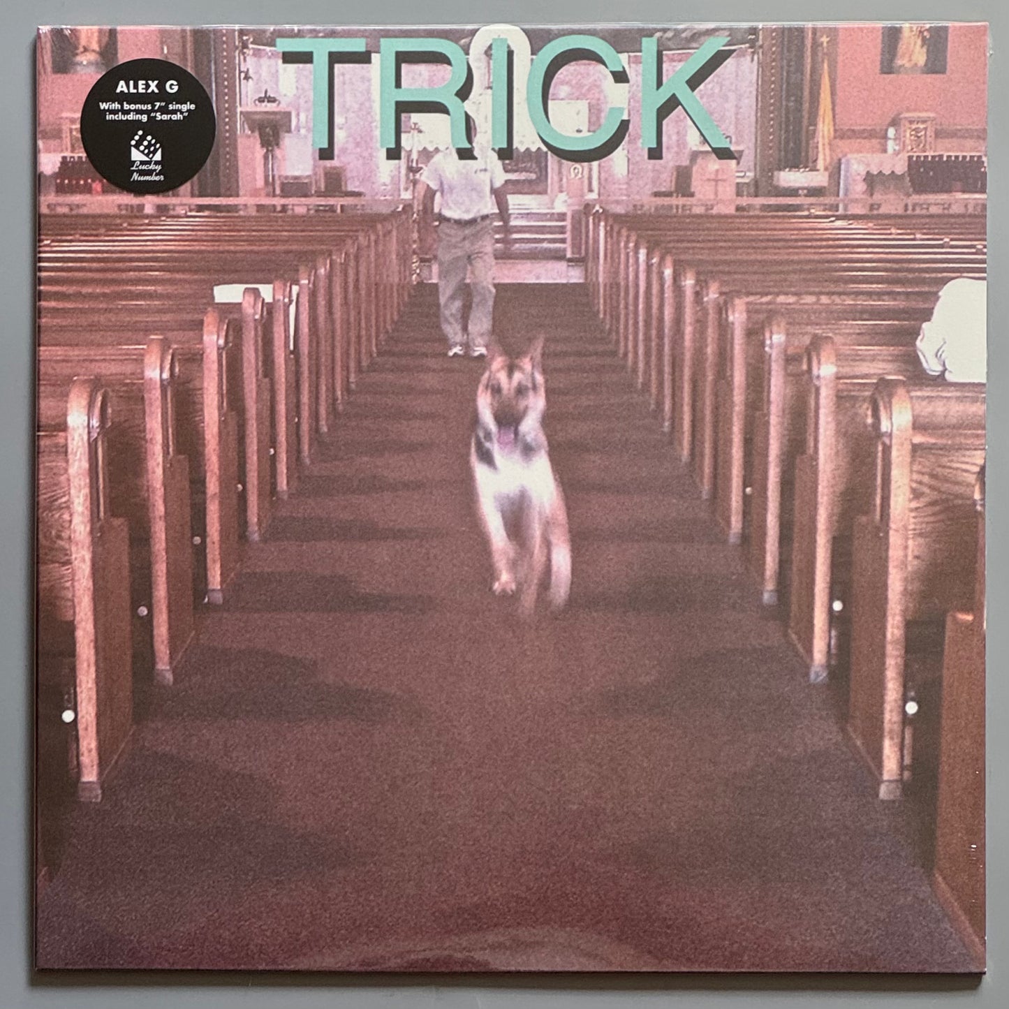 Trick by Alex G Vinyl Record LP