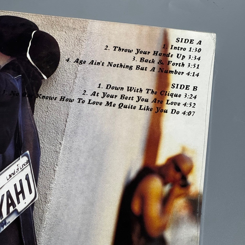 Age Ain’t Nothing but a Number by Aaliyah Vinyl Record LP