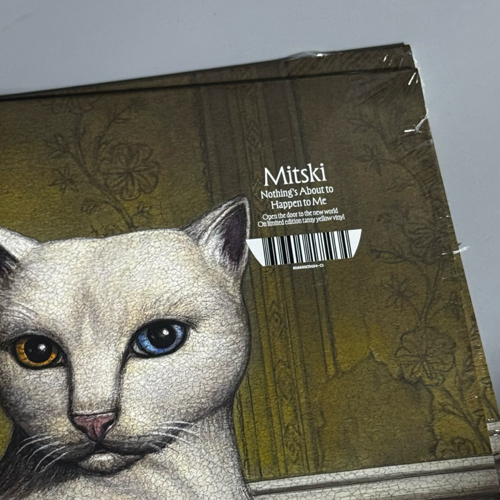 Nothing’s About to Happen to Me by Mitski Vinyl Record LP