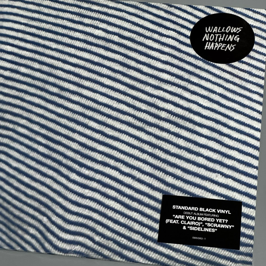Nothing Happens by Wallows Vinyl Record LP